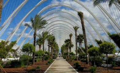 VALENCIA
